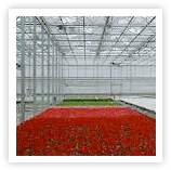 crop production